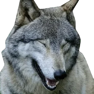 Sticker 🦄 Каталог 👉 @WeStickerbot 👈 - 11