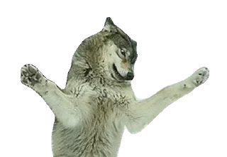 Sticker 🦄 Каталог 👉 @WeStickerbot 👈 - 9