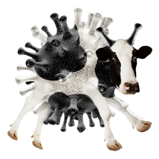 Стикер bnw - 6