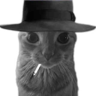 Стикер боба - 11