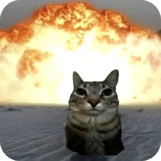 Стикер боба - 5