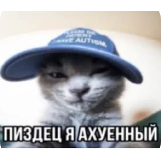 Стикер боба - 0