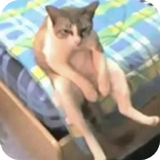 Стикер боба - 4