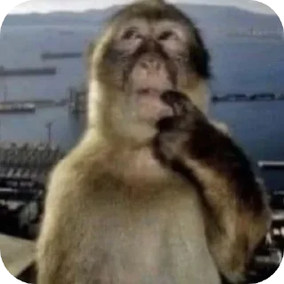 Стикер боба - 3