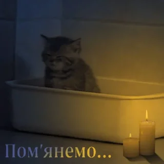 Sticker бОбік https://t.me/ua_anime_stikers - 11