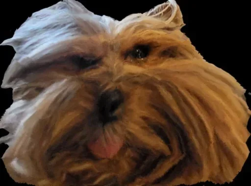 Стикер bobsiks - 1