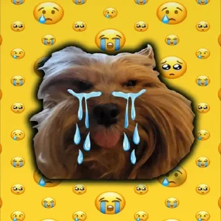 Стикер @ugastick bobsiks - 3