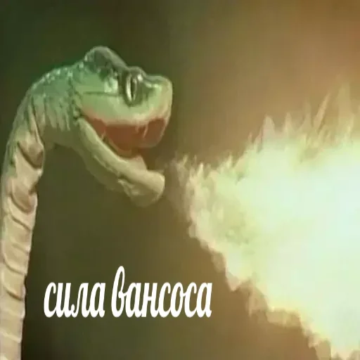 СМС животное млекопитающее