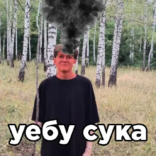 Sticker bogdaneblan - 10