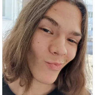 Sticker bogdaneblan - 6