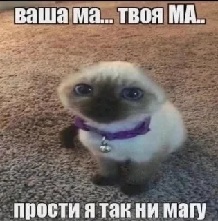 Sticker @bruhdan top stickers - 9