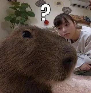 Sticker @bruhdan top stickers - 3