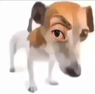 Sticker @bruhdan top stickers - 6