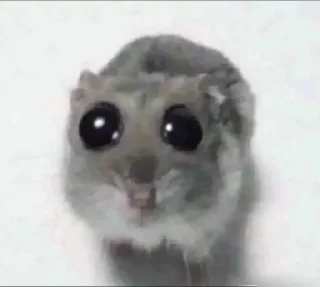 Sticker @bruhdan top stickers - 5