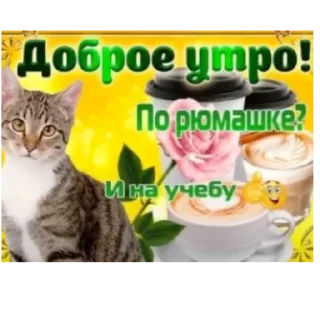 Sticker богемная богема - 2