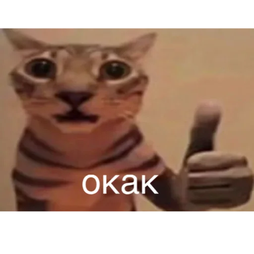 бойцовский хер by polincho - 