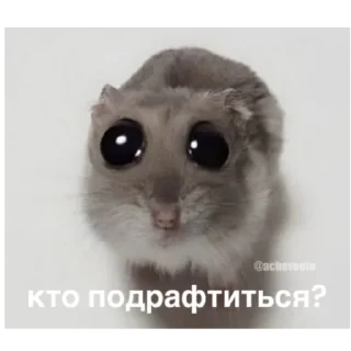 Sticker бойцовский хер by polincho - 3