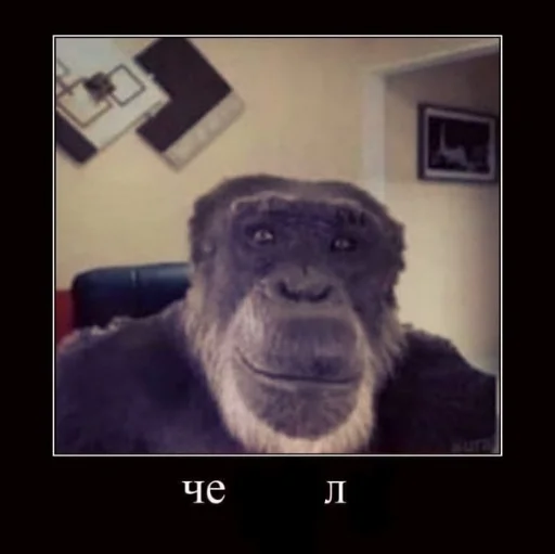 демотивация очка - СМС