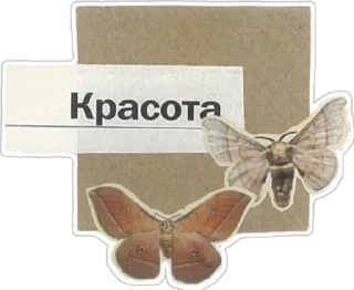 Sticker буквы с газеты от @sonechkojulia - 3