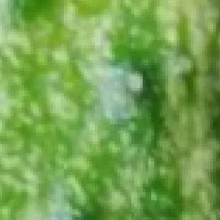 Стикер Больше стикеров находи тут: @stickersnys - 0