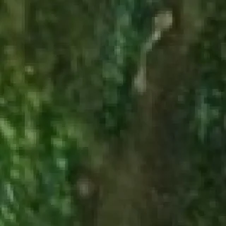 Стикер Больше стикеров находи тут: @stickersnys - 3