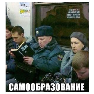 Sticker больше стикеров тут: @stikeryy7 - 7