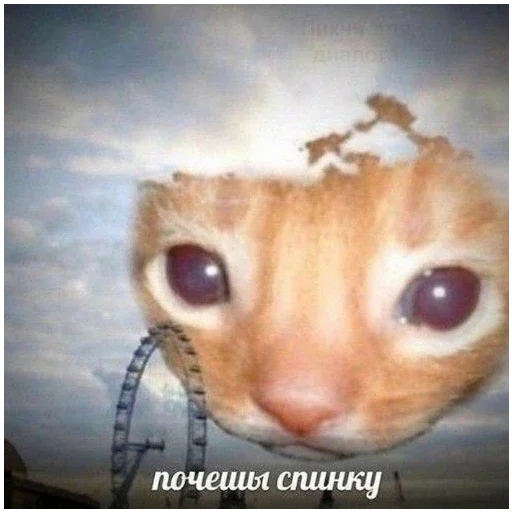 Стикер bolshe_stikerov_tut_stikeryy757 - 1