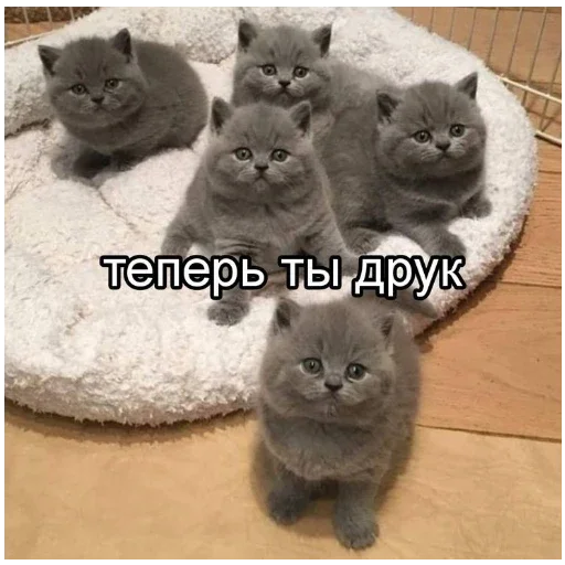 Sticker bolshe_stikerov_tut_stikeryy757 - 1