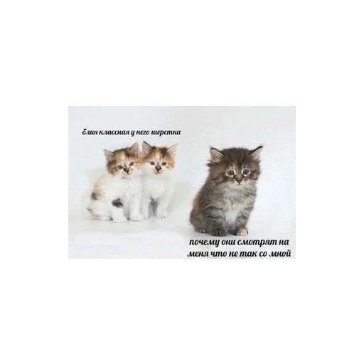 Sticker bolshe_stikerov_tut_stikeryy757 - 1