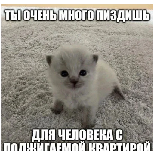 Sticker bolshe_stikerov_tut_stikeryy757 - 1