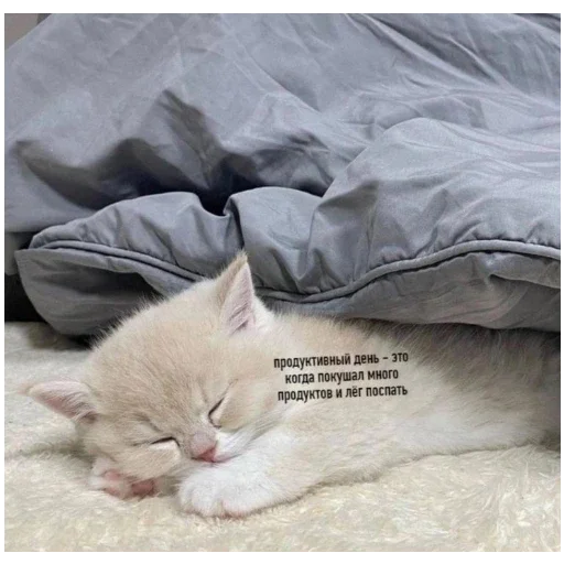 Стикер bolshe_stikerov_tut_stikeryy757 - 1