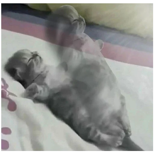 Sticker bolshe_stikerov_tut_stikeryy757 - 1