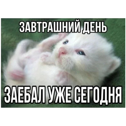 Sticker bolshe_stikerov_tut_stikeryy757 - 1