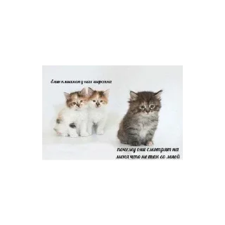 Sticker больше стикеров тут: @stikeryy7 - 7