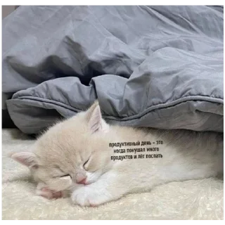 Sticker больше стикеров тут: @stikeryy7 - 2