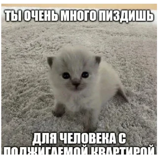 Sticker больше стикеров тут: @stikeryy7 - 6