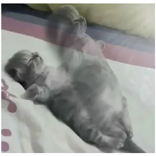 Sticker больше стикеров тут: @stikeryy7 - 1