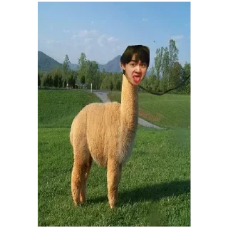 Sticker больше стикеров тут: @stikeryy7 - 2