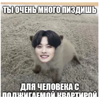 Sticker больше стикеров тут: @stikeryy7 - 0