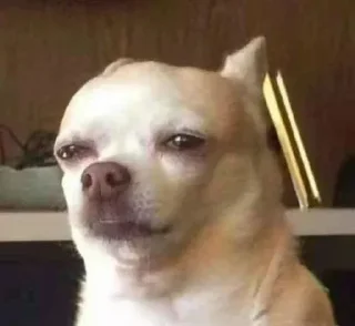 Стикер @sticksbb <— больше стиков💓💘💞 - 7