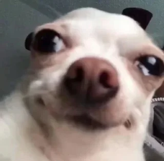 Стикер @sticksbb <— больше стиков💓💘💞 - 2