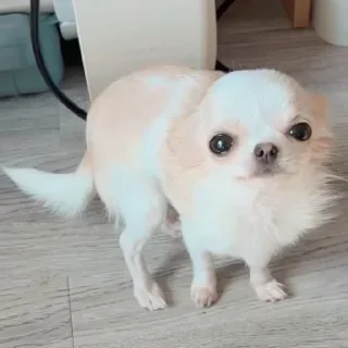 Стикер @sticksbb <— больше стиков💓💘💞 - 4