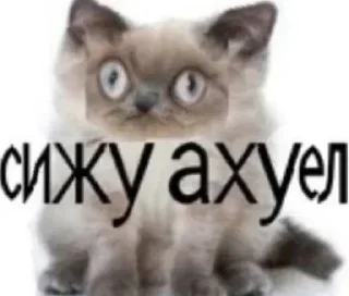 Стикер @sticksbb <— больше стиков💓💘💞 - 11