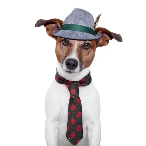 Sticker bolshe_stikov_a4e28_by_MoiStikiBot - 1