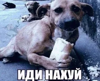 Sticker @sticksbb <— больше стиков💓💘💞 - 1