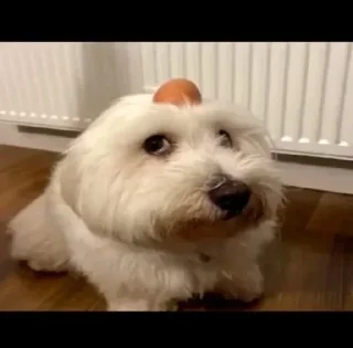 Sticker @sticksbb <— больше стиков💓💘💞 - 5