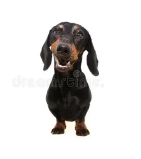 Sticker @sticksbb <— больше стиков💓💘💞 - 8