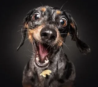 Sticker @sticksbb <— больше стиков💓💘💞 - 7