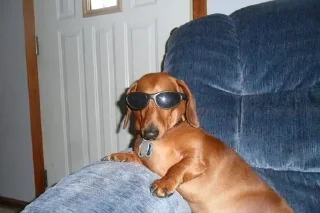 Sticker @sticksbb <— больше стиков💓💘💞 - 11