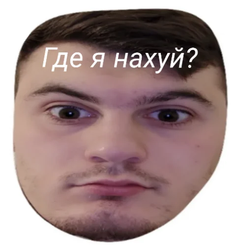 human face eyebrow forehead